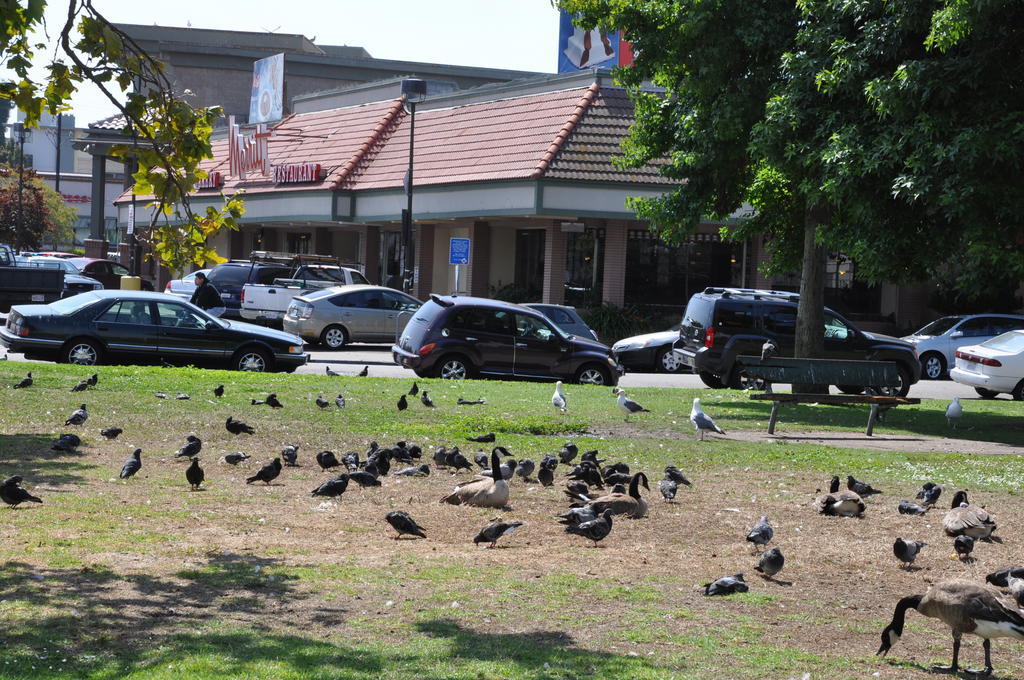 Americas Best Value Inn - Downtown Oakland/Lake Merritt Exteriör bild